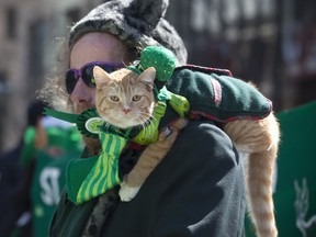 Even cats showed their Irish spirit at the St Patrick's Day Parade in Montreal, Sunday March 16, 2014.