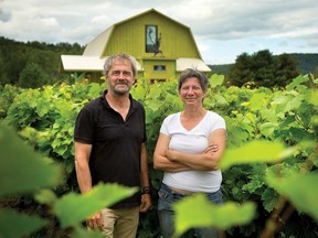André Cellard and Chantal Ippersiel in their vineyard, Le Vignoble biologique du Domaine des Météores, in Ripon.