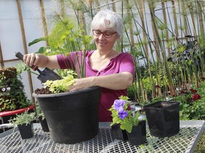 Mireille Dubuc at the Botanical Garden: she replaces or at least refreshes her flower pots several times as the growing season progresses.