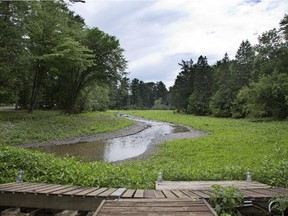 Pine Lake drained after a dam near Cameron Rd. broke in 2014.