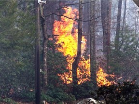 Photo of a forest fire taken on Monday, May 4, 2015,