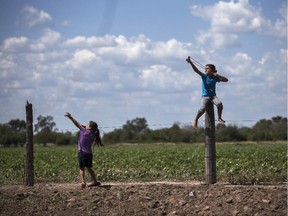 Girls play next to a biotech soybean plantation in Argentina in 2013. The country's entire soybean crop and nearly all its corn and cotton have become genetically modified in the 17 years since Monsanto arrived.