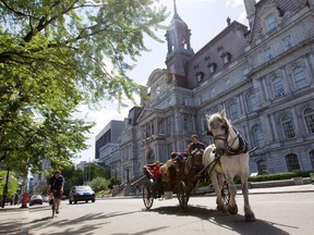 A horse-drawn calèche passes in front of Montreal city hall.