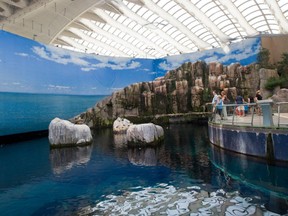 A view from inside Montreal's Biodôme.