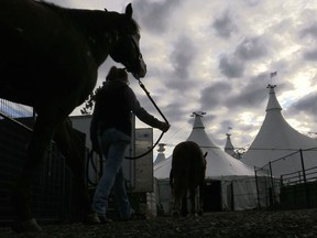 Cavalia 2015.