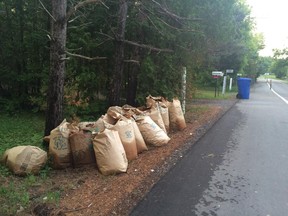 Bags of leaves were left by the side of the road last spring in St-Lazare.