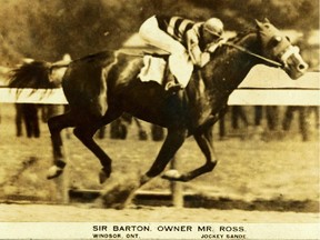 Commander J.K.L. Ross's colt Sir Barton.  John Kenneth Leveson Ross is best remembered as the owner of Hall of Fame colt Sir Barton, which won the first United States Triple Crown of Thoroughbred Racing in 1919.
