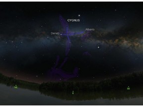 Cygnus, the swan constellation, and Milky Way rides high in the sky during July.