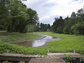 Pine Lake in Hudson.