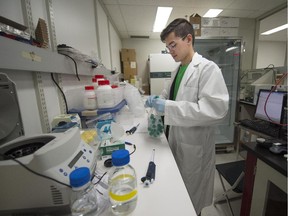 Kevin Chen, in the lab of Hyasynth Bio, in Montreal on Thursday, June 11, 2015. Hyasynth Bio is a young biotechnology company that makes a non-marijuana (cultured yeast) product that simulates the medical effects of marijuana without the high