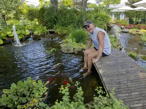 Hans van Akkeren lets  fish nibble his feet in a pond in his Rosemère backyard. He has spent tens of thousands of dollars building what he calls his secret garden over the years.