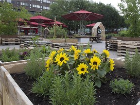 Place Émilie-Gamelin, formerly a rough and unwelcoming place, has been turned into a park and gardens, complete with snack bars.