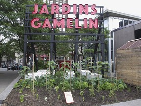 New sign invites people to Place Emilie Gamelin on  Monday June 15, 2015. Place Emilie Gamelin used to be a rough and unwelcoming kind of place, but now it's been turned into a park and gardens, complete with snack bars.