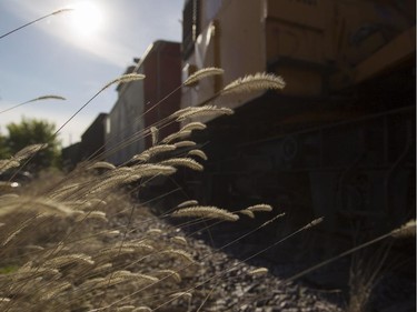 Rail cars sit on a siding on commuter line tracks in Barrington, Ill.