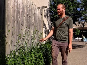 Wild edibles abound in the city and the country. Chef John Winter Russell, seen here on Wednesday, June 24, 2015, finds thinks like crab apples, milkweed and day lilies growing wild in the city streets.