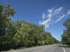 Chemin de l' Anse-à-l'Orme cuts  through undeveloped land located in Western Pierrefonds Friday, June 26, 2015.