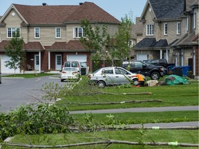 City worker Christian Lanthier cuts down trees infested with the emerald ash borer on Bellini St, in the Grand Composer district, in Vaudreuil-Dorion, on June 25, 2015.