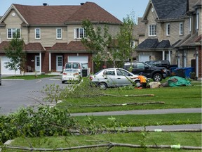 Pincourt's Green Line will also continue efforts to curb the spread of the Emerald Ash Borer.