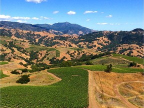 The Alexander Valley is one of the warmer regions in Sonoma, but because of the altitude is not too hot for cabernet sauvignon and other Bordeaux varieties.