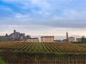 The volcanic vineyards of Soave.