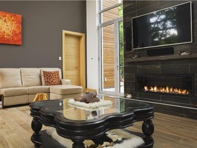 A wide-screen television hangs above the elongated gas fireplace which is set in dark ceramic and decorated with three waterfowl sculptures.