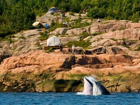 All along the riverbank: Mer et Monde campsites offer spectacular views.