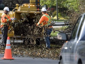 Workers feed branches into a chipper on Greenwood St. in Beaconsfield.