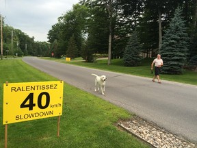 Brian Millward walks his dog along Cambridge St. in Hudson near where Tina Lyon Adams was hit by a car on June 12, 2015.