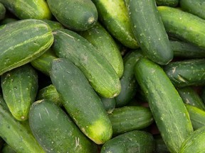 Local cucumbers have lots of flavour.