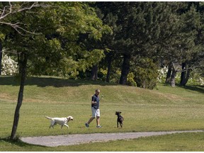 Dogs run through a park in Africville, a national historic site, in the northend of Halifax on Saturday, July 12, 2014. After being petitioned by the Africville Heritage Trust, the city agreed to decommission the off-leash dog area but but not until a replacement site can be found nearby.