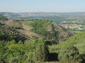 From the hilltop of Cornas, with Hermitage in the distance, the Northern Rhône produce fabulous white wines that should be drunk relatively warm.