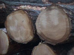 Fresh cut logs are stacked after being harvested by loggers near Youbou, B.C. Wednesday, Jan. 14, 2015.