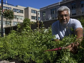 McGill professor Vikram Bhatt takes stock of the Edible Campus at McGill University.