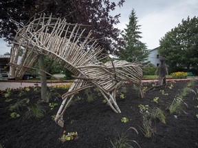 New art installation in small park in the park at the Corner of Bedard Ave. and Ste-Angelique Rd, the main intersection in St-Lazare village of a horse pulling a plow made of twigs.