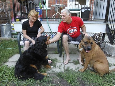 Lauraine Ouellette and Dominic Caya in their backyard in Verdun with their dogs, Bella, left, and Jax.