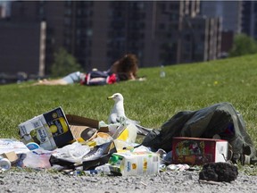 A seagull stands next to a pile of garbage at Mount Royal Park.