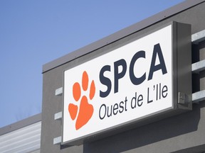 The SPCA Ouest is shown in Vaudreuil-Dorion, west of Montreal.
