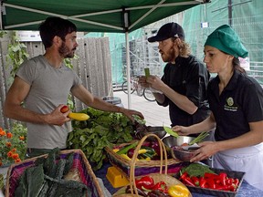 Chefs choose fresh produce grown at the Santropol Roulant gardens for an Iron Chef-style competition.