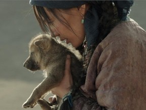 Filmed in Inner Mongolia on a set that included 480 technicians, 200 horses, 1,000 sheep, 25 wolves and 50 trainers and handlers, Wolf Totem is centred on a love story between a student and an orphan wolf cub.