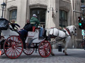 A caleche, horse drawn carriage, rides through the streets of Old Montreal.