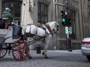A horse-drawn carriage,  rides through the streets of Old Montreal.