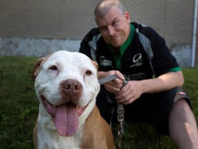Hugh McGurnaghan sits with his 10-year-old dog Murphy, an American Staffordshire Terrier, in Montreal on Wednesday August 5, 2015.