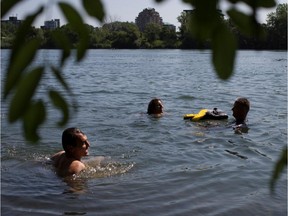 Montreal city councillors for the Verdun borough  Marie-Andrée Mauger, centre, Luc Gagnon and party leader Richard Bergeron, left, swim in the St-Lawrence river in Montreal on Wednesday Aug. 6, 2014.