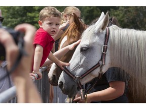MONTREAL, QUE.: AUGUST 8, 2015 -- 3 year old Jean Oster petting a horse at the St. Lazare Au Galop, Saturday August 8 2015, in St. Lazare, QC. (Robert Amyot / MONTREAL GAZETTE)