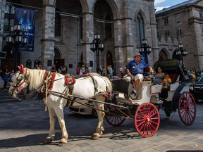 A horse carriage with tourists pass in front of the Notre-Dame Cathedral.