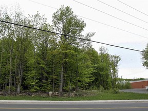 The proposed site of a planned inter-municipal indoor pool in Notre-Dame-de-L'ile-Perrot.   It will be located behind the Metro grocery store on land owned by the town, the entrance would be located off of Forest Street.