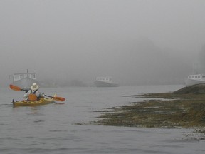 Moored lobster boats and fog  along the Maine coast.