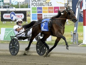 Pinkman, driven by Brian Sears, wins the Hambletonian harness horse race Saturday, Aug. 8, 2015, in East Rutherford, N.J.