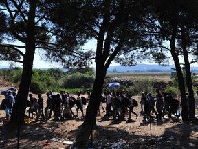 Migrants walk at the Greek-Macedonian border near the town of Idomeni, Northern Greece, on August 19, 2015. Some 160,000 migrants and refugees have landed on Greek shores since January, with the authorities criticised by the UN and humanitarian groups for poor preparation that has left thousands sleeping on the streets.