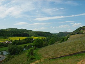 Looking for a great white wine? Check out today's suggestions, including an exceptional riesling from Germany's Pfalz region.